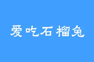 爱吃石榴兔