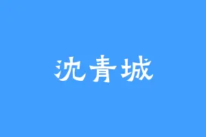 沈青城
