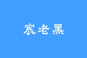 宸老黑