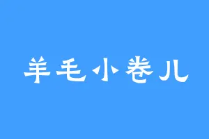 羊毛小卷儿