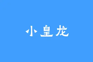 小皇龙