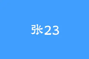 张23