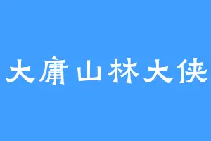 大庸山林大侠