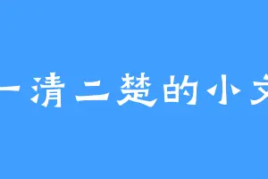 一清二楚的小文