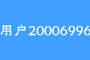 用户20006996