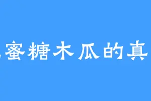 爱吃蜜糖木瓜的真元丹