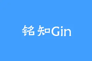 铭知Gin