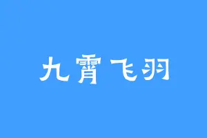 九霄飞羽