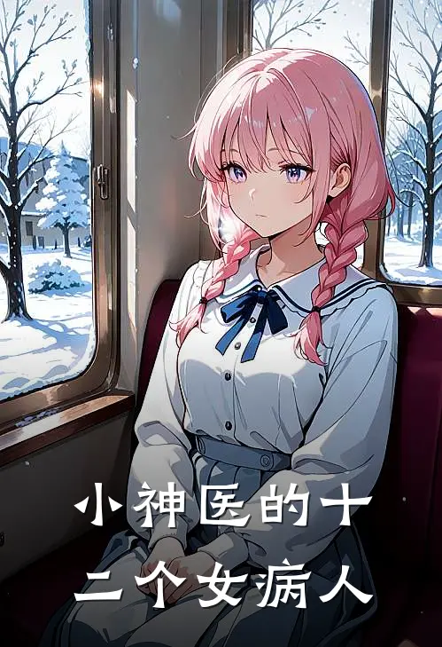 小神医的十二个女病人